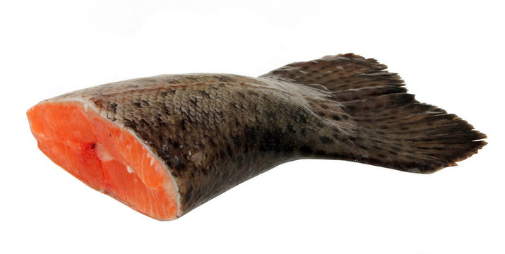 魚魚