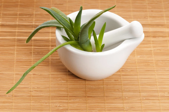 Aloe vera -草藥