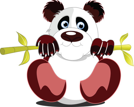 小熊貓。插圖