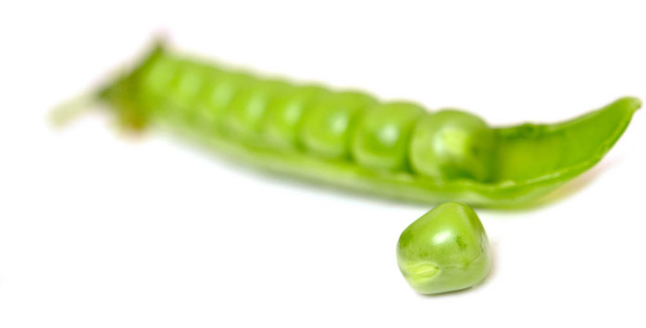 新鮮豌豆莢豌豆