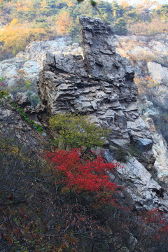 九仙山層林盡染紅葉爛漫