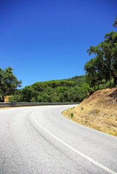 在葡萄牙Mediterranic的森林公路