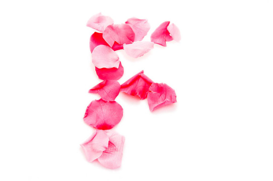 粉紅花瓣字母大寫字母