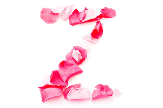 粉紅花瓣字母大寫字母