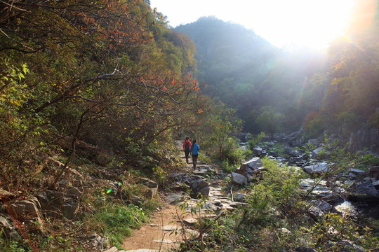 九仙山層林盡染紅葉爛漫