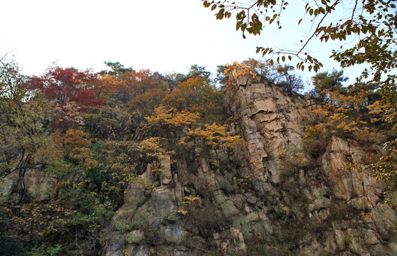 九仙山層林盡染紅葉爛漫