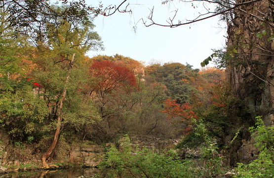 九仙山層林盡染紅葉爛漫
