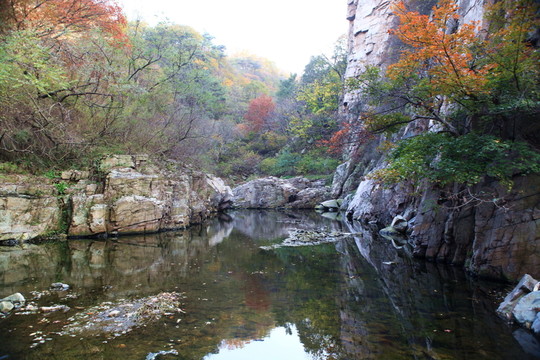 九仙山層林盡染紅葉爛漫