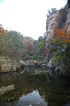 九仙山層林盡染紅葉爛漫