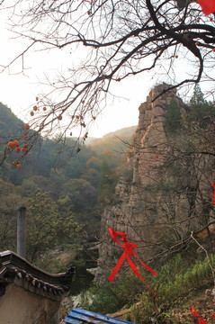 九仙山層林盡染紅葉爛漫