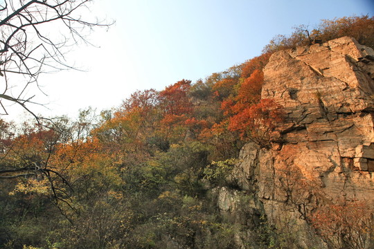 九仙山層林盡染紅葉爛漫