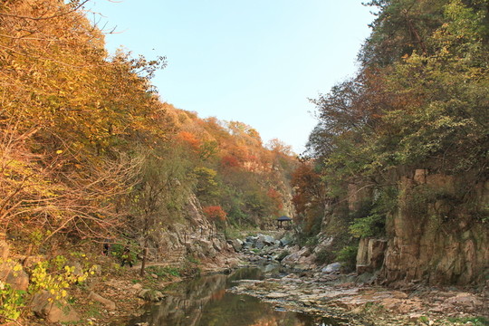 九仙山層林盡染紅葉爛漫