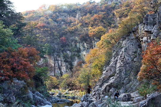 九仙山層林盡染紅葉爛漫