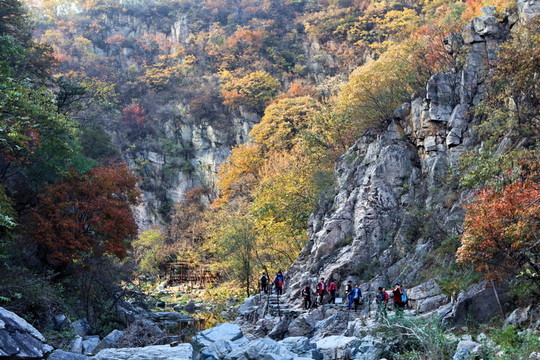 九仙山層林盡染紅葉爛漫