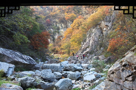 九仙山層林盡染紅葉爛漫