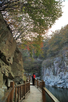 九仙山層林盡染紅葉爛漫