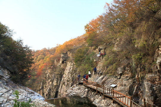 九仙山層林盡染紅葉爛漫