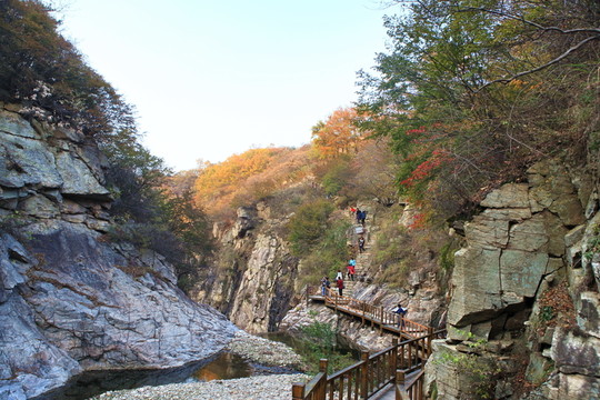九仙山層林盡染紅葉爛漫