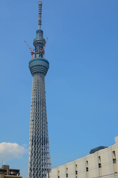 天空樹