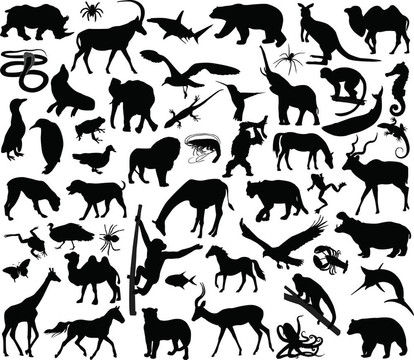 動物大集合