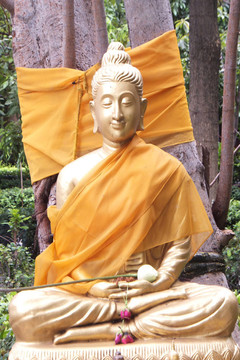 樹下的如來佛祖
