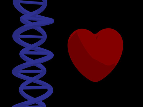 DNA