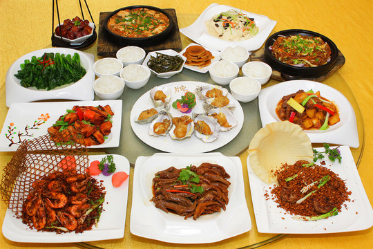 中國(guó)菜 中國(guó)菜合照 中式菜