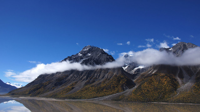 云霧滿山飄