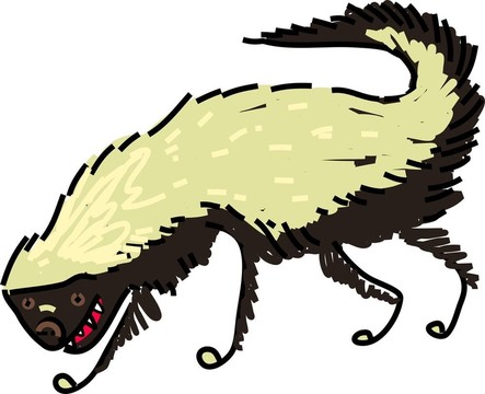 蜜獾