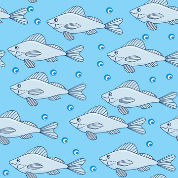 水上魚學(xué)校