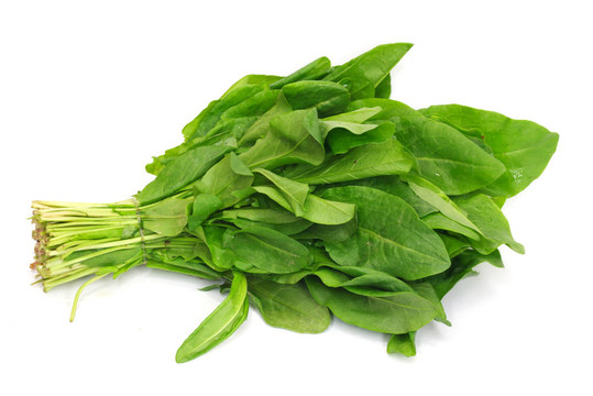一束鮮酢漿草