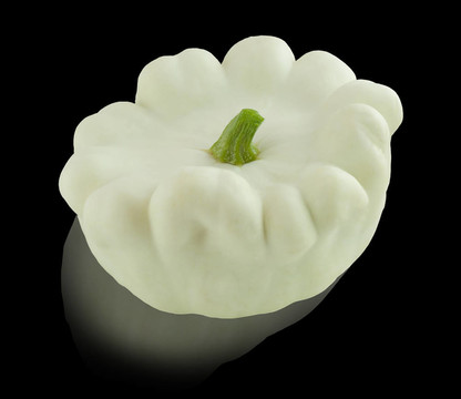 布什扁圓