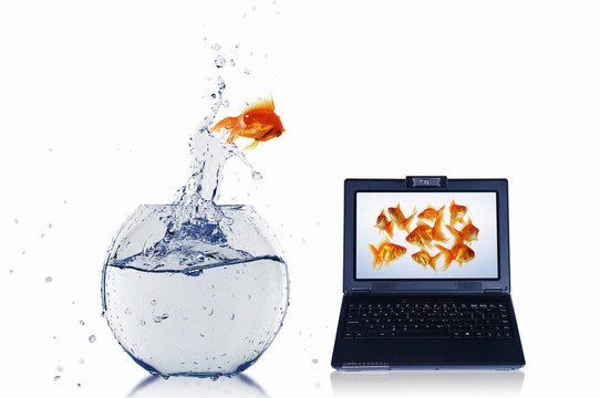 筆記本屏幕上的金魚