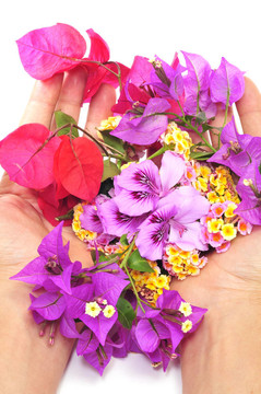 充滿(mǎn)鮮花的手