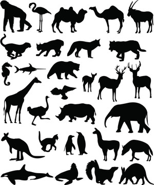 動物大集合