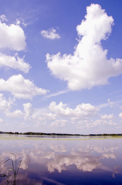 夏季湖景。