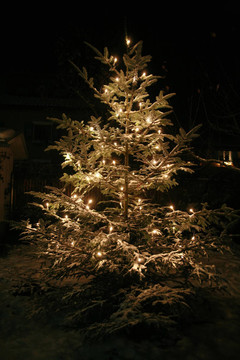 xmastree