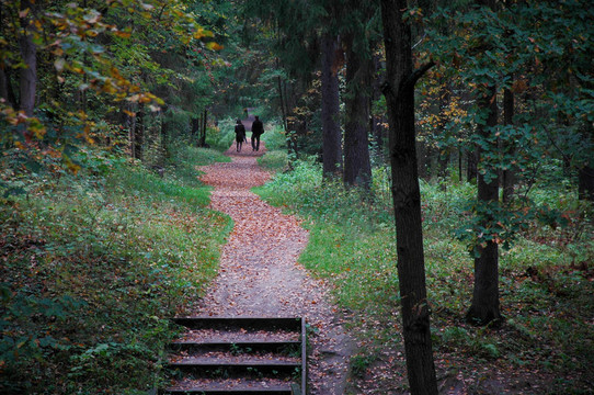 情侶走在秋天公園的小路上