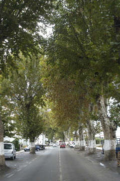 在Velez of Benaudalla的城市道路