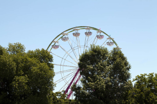 Ferris Wheel關于和通過樹天的時間