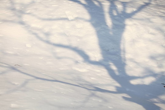 雪影背景
