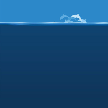 飛行的海豚