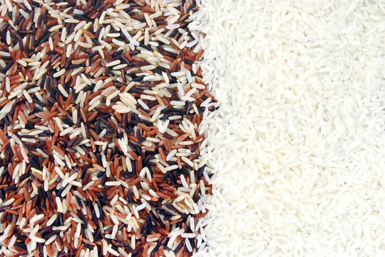 Rice的背景