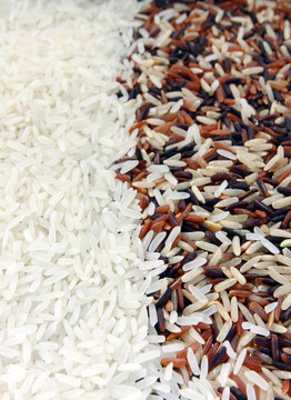 Rice的背景