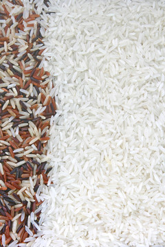Rice的背景