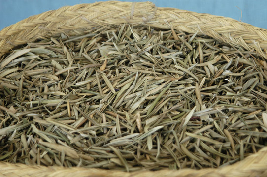 橄欖葉；草本植物