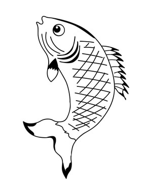 白色背景下的剪影魚