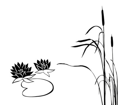 關(guān)于沼澤植物的剪影