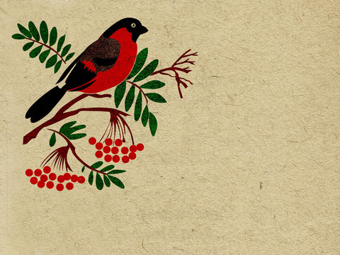 對(duì)垃圾背景紅色紅腹灰雀