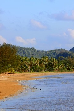 垃圾在Beach